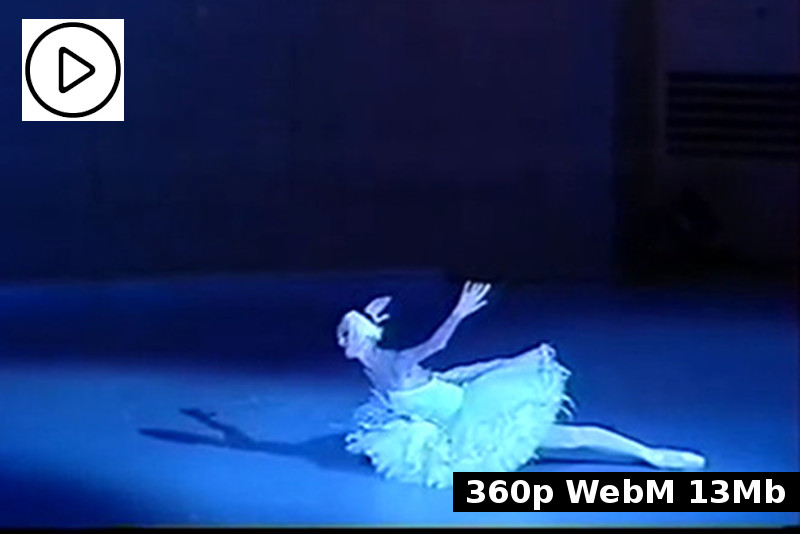 Лопаткина лебедь. Ульяна лопаткина лебединое озеро. Ульяна лопаткина. Майя плисецкая балерина. Лопаткина балерина.