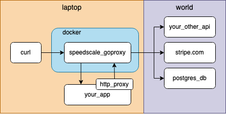 Rest API Observability Python - Speedscale