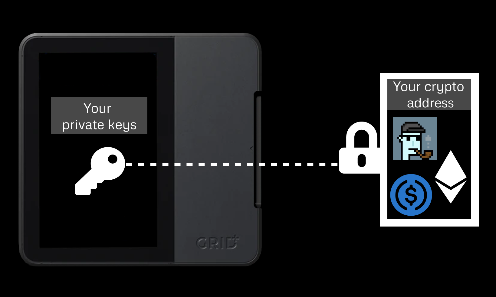 Wallets store private keys, not digital assets. Currency, tokens, and NFTs exist on the blockchain only and are accessed via the keys stored in a wallet.