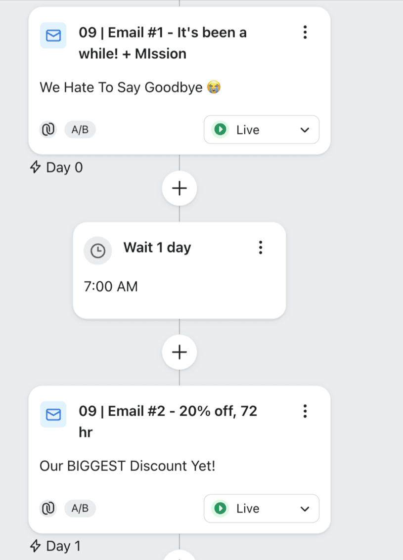 Klaviyo flow with a Wait 1 day block between a goodbye email and a last-chance discount email