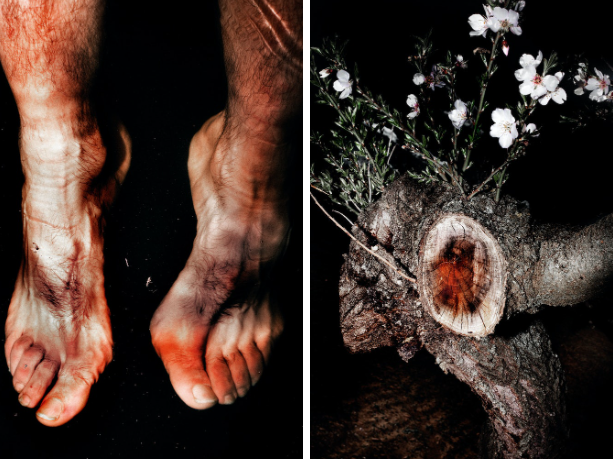 Beyond Photography: Nhiếp ảnh 
Phương thức thực hành nghệ thuật