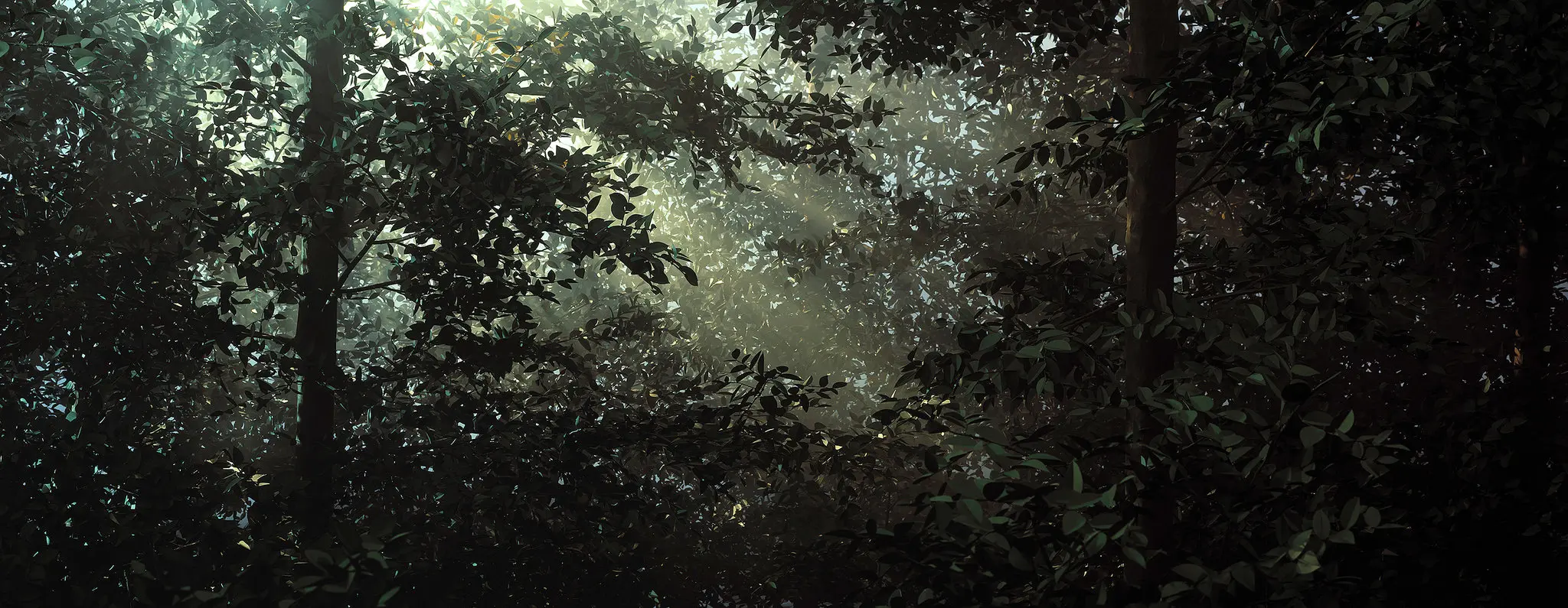 Beyond Photography: Nhiếp ảnh 
Phương thức thực hành nghệ thuật