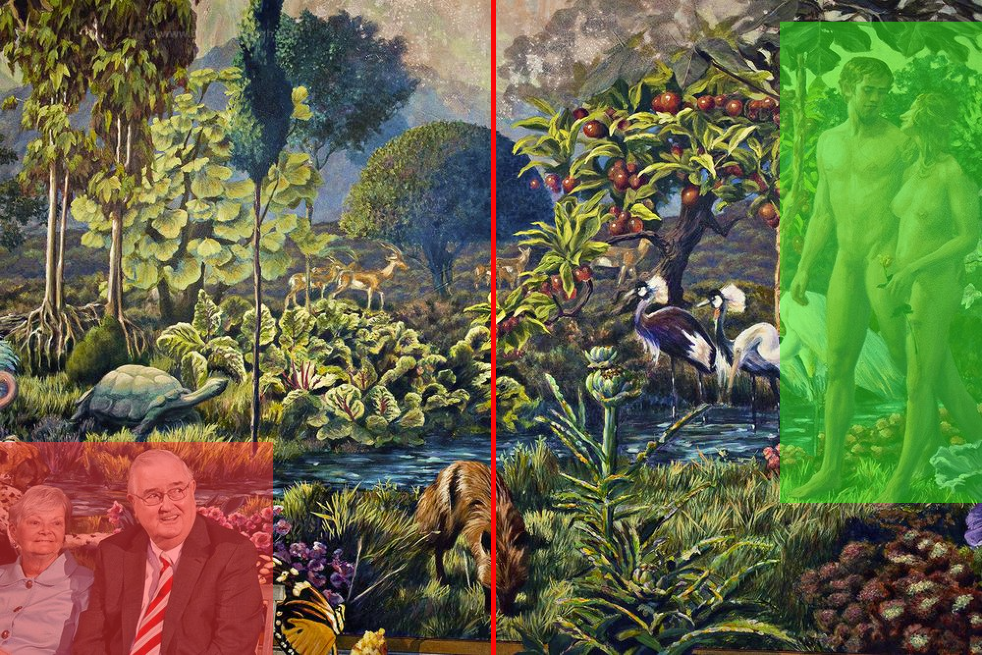 Xây dựng bố cục khung hình
