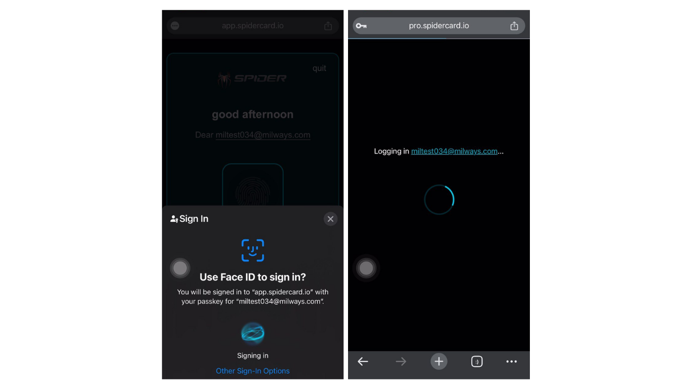 Terms and Conditions