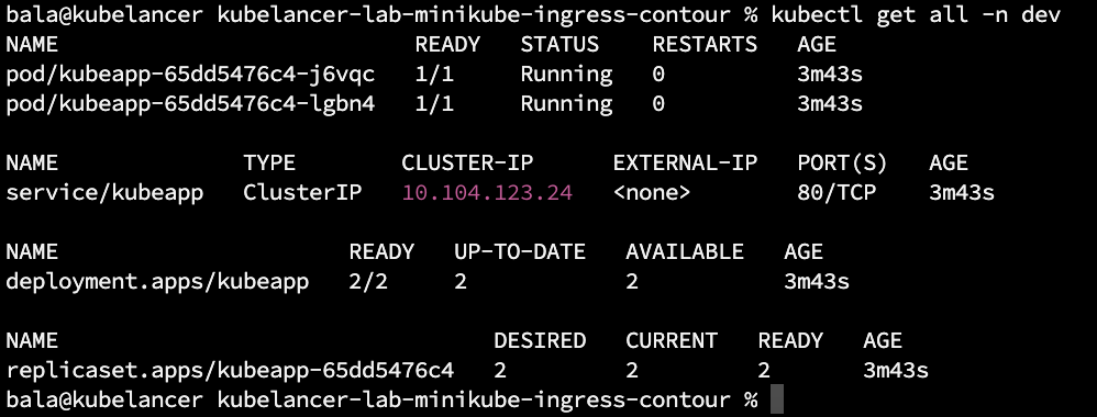 Contour Ingress on Minikube Kubernetes Cluster