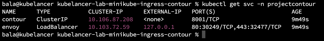 Contour Ingress on Minikube Kubernetes Cluster