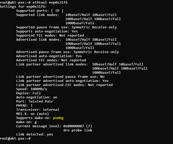 Checking if our NIC supports WoL (pumbg - Means it supports WoL)