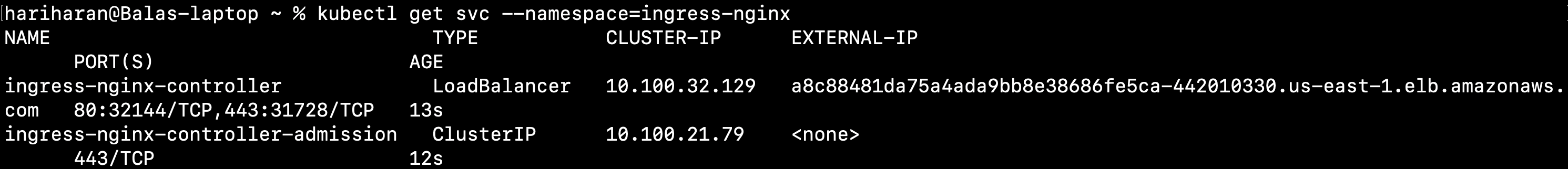 Setting up TLS with Nginx Ingress