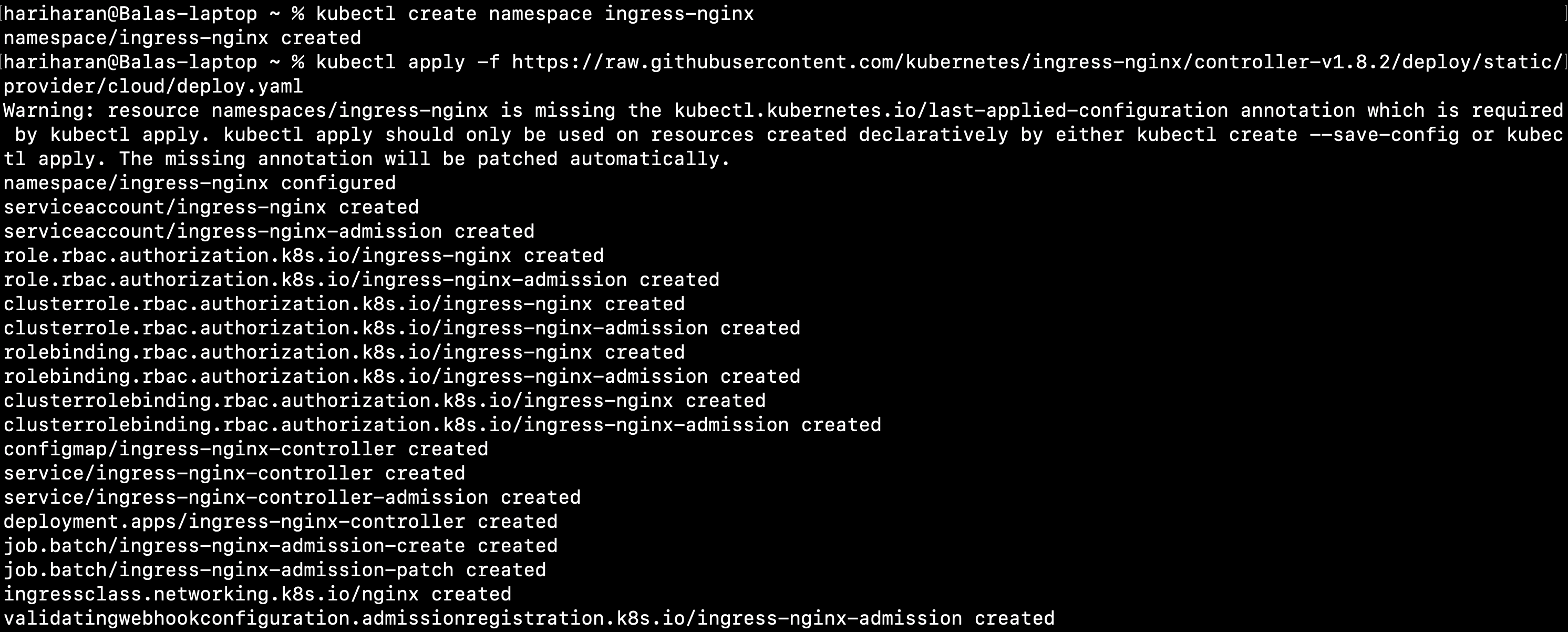 Setting up TLS with Nginx Ingress